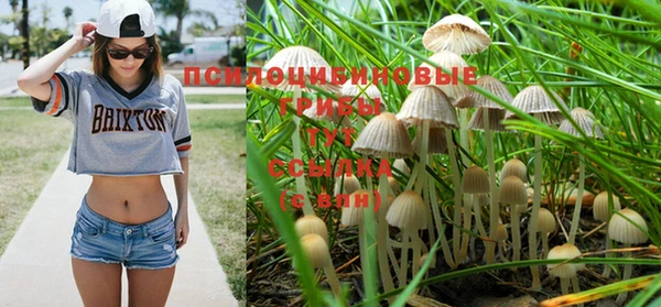 PSILOCYBIN Абаза