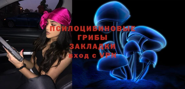 герыч Алзамай