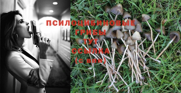 PSILOCYBIN Абаза