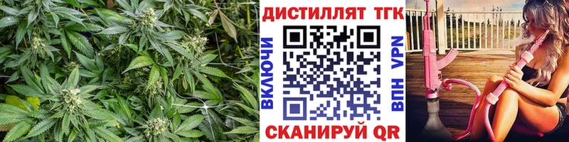 закладки  Устюжна  ТГК Wax 